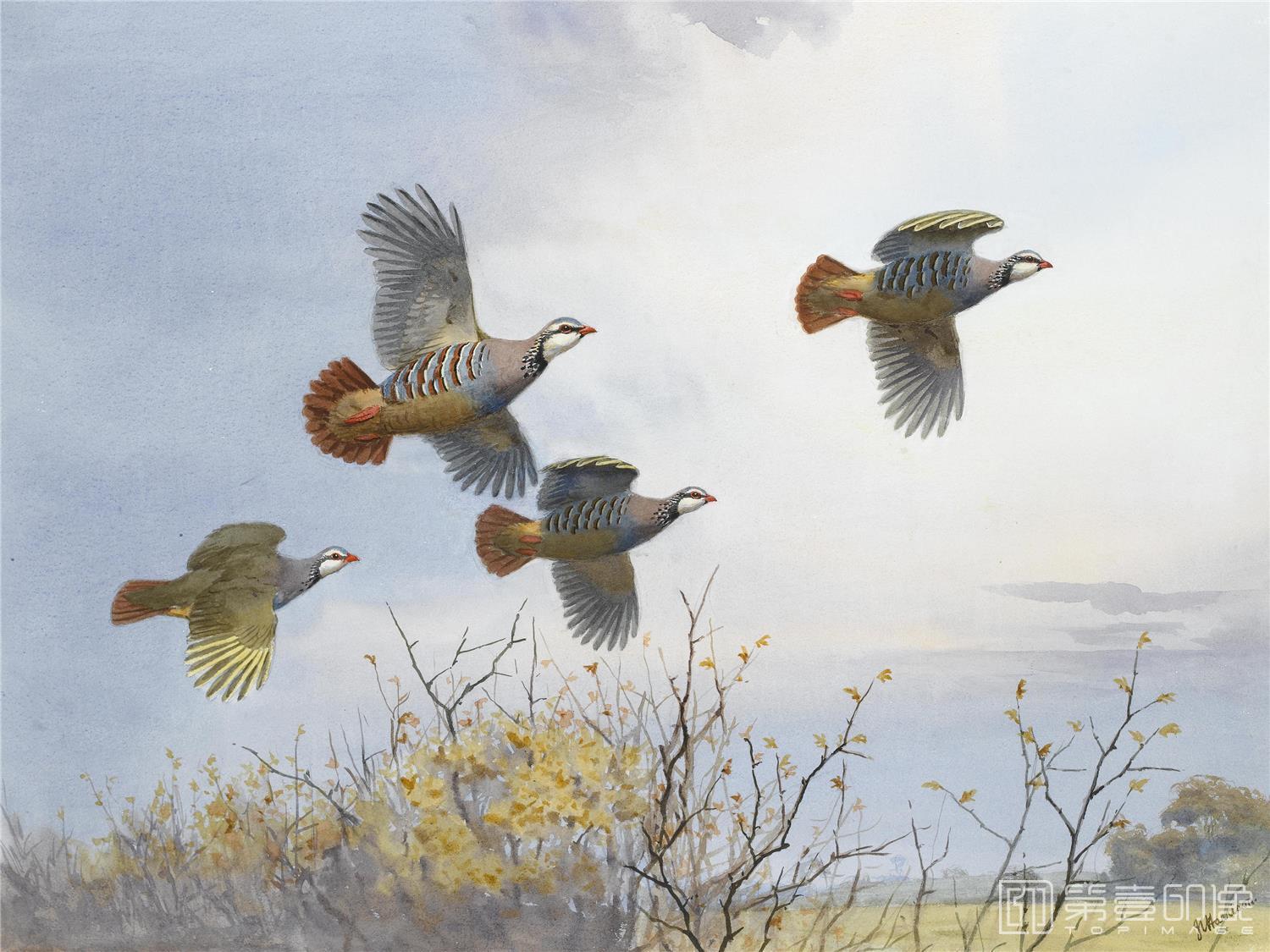 油画-约翰.赛里尔·哈里森 John Harrison作品集-111